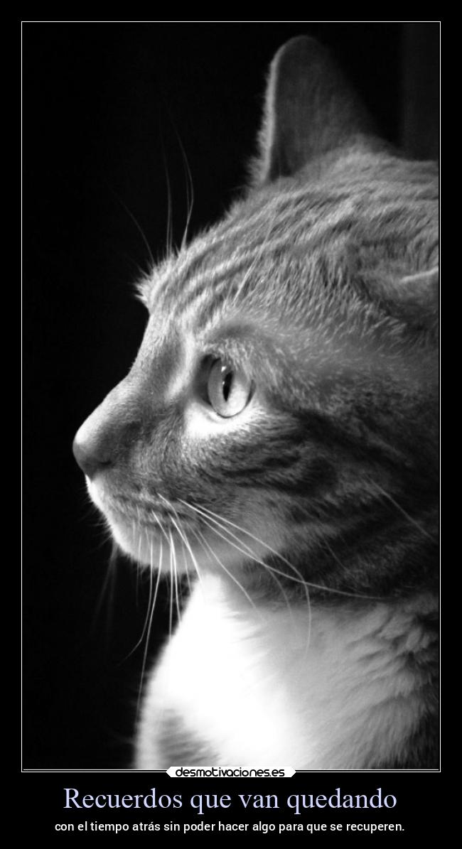 carteles recuerdos vida ltsc lrssg alex vazquez999 desmotivaciones