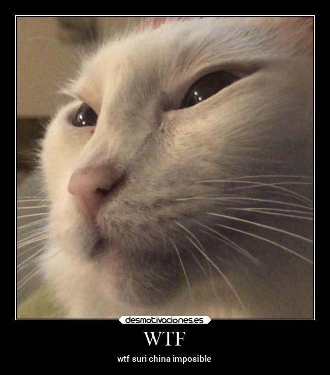 WTF - wtf suri china imposible