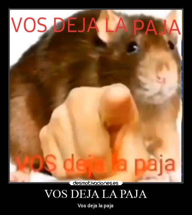 carteles tonto deja paja desmotivaciones