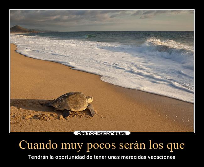 carteles verano oportunidad final desmoverano2020 desmotivaciones