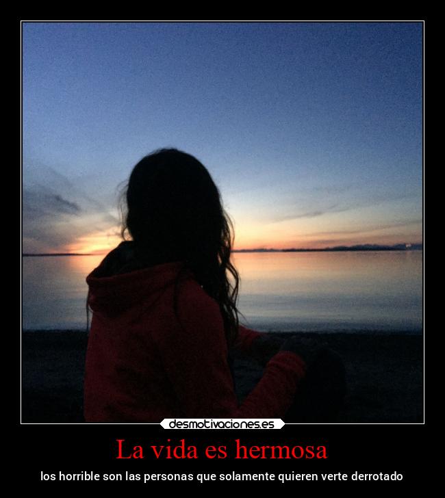 carteles vida ayuda caracter gatos familia lorddesamororiginal desmotivaciones