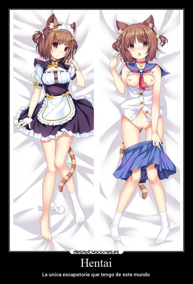 carteles vida escapatoria desmotivaciones