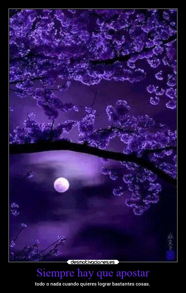 Siempre hay que apostar - todo o nada cuando quieres lograr bastantes cosas.