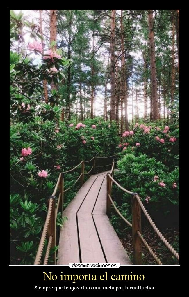 No importa el camino - 