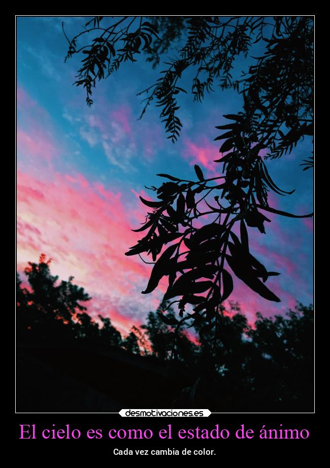 carteles vida sentimientos naturaleza desmotivaciones