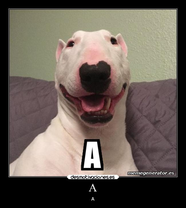 carteles abrazos amigos bogota cine desmotivaciones