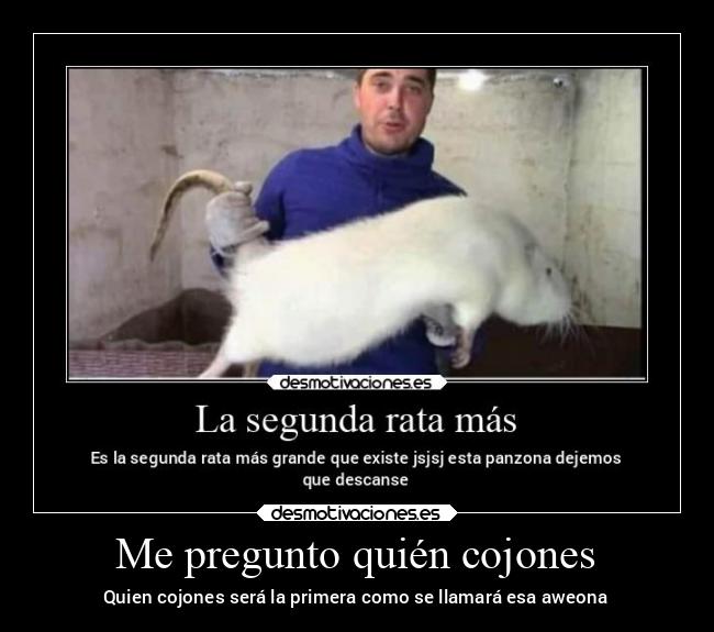 Me pregunto quién cojones - Quien cojones será la primera como se llamará esa aweona