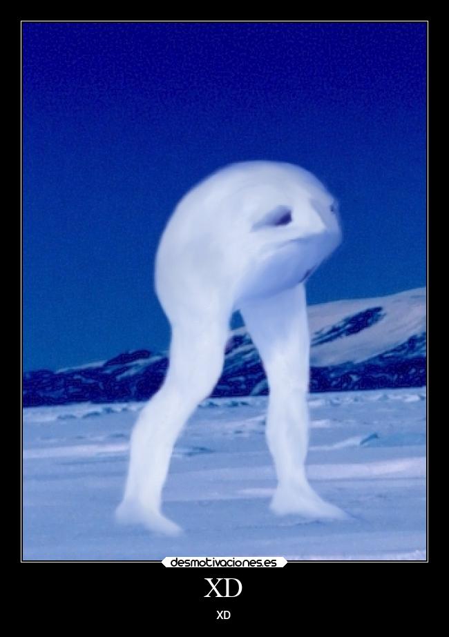 carteles alegria desmotivaciones