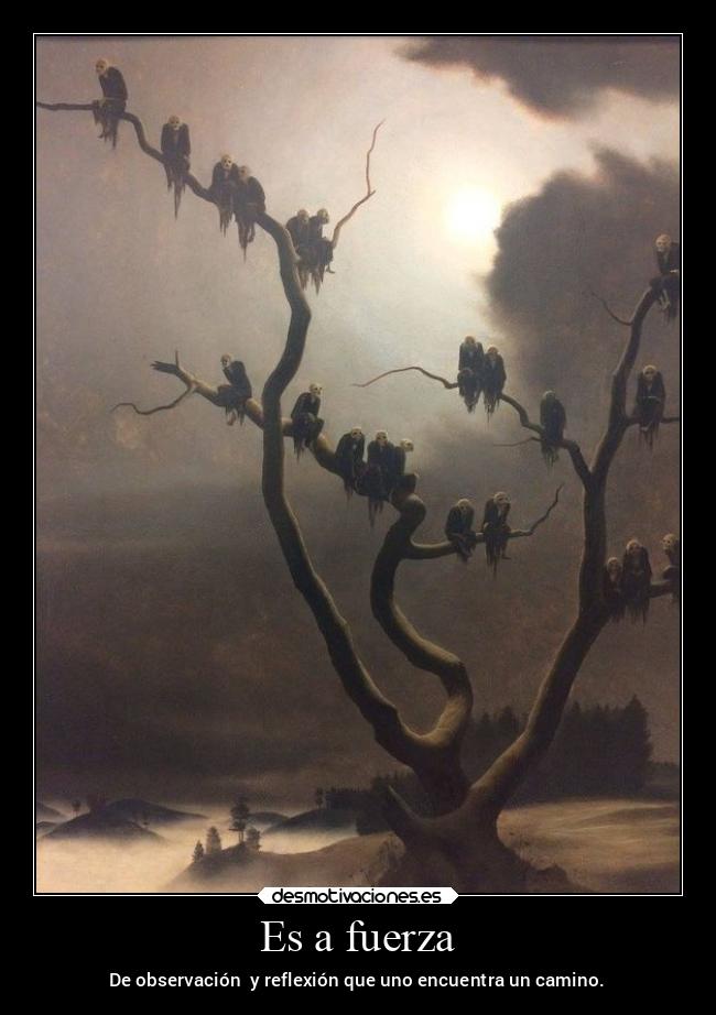Es a fuerza - De observación y reflexión que uno encuentra un camino.