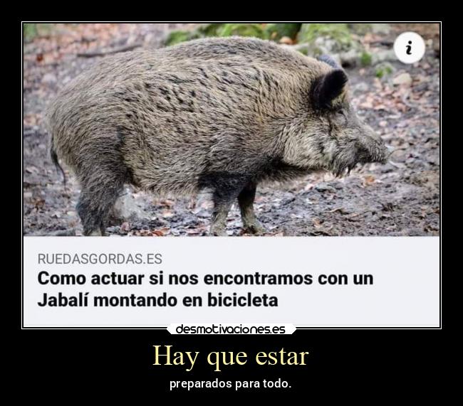 Hay que estar - preparados para todo.