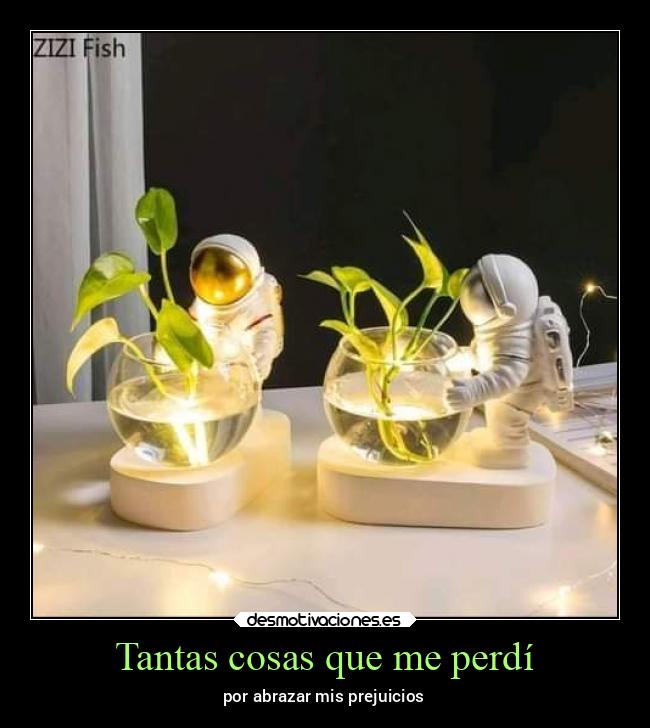 Tantas cosas que me perdí - por abrazar mis prejuicios