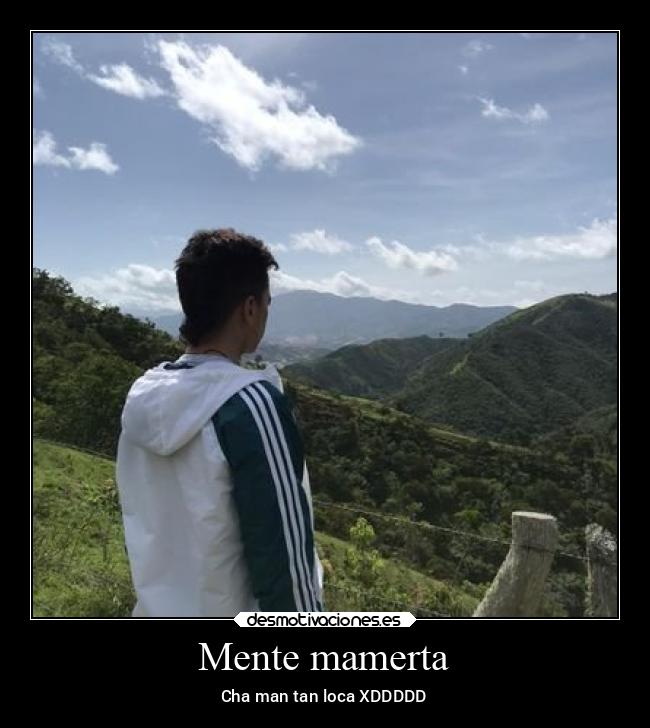 Mente mamerta -