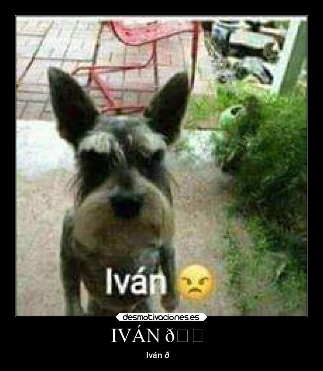 carteles amigos desmotivaciones