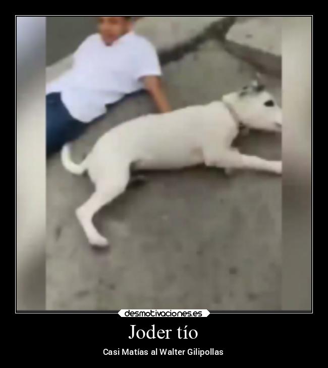 Joder tío - 