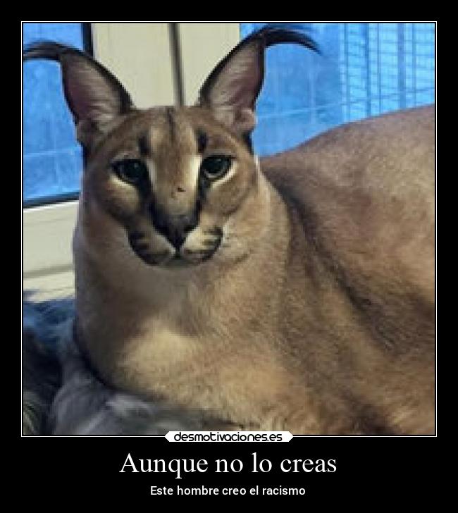 Aunque no lo creas - Este hombre creo el racismo