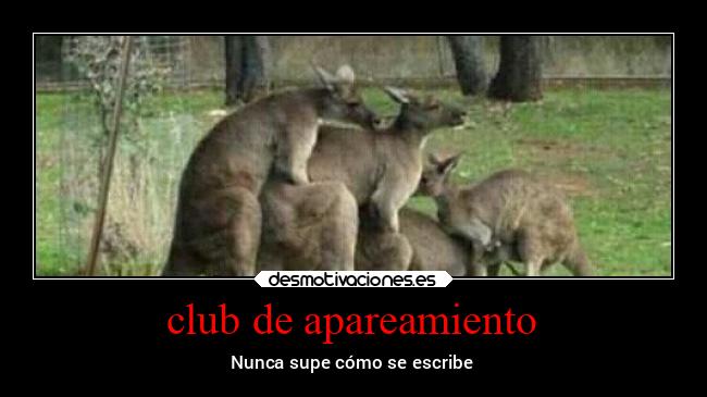 club de apareamiento -