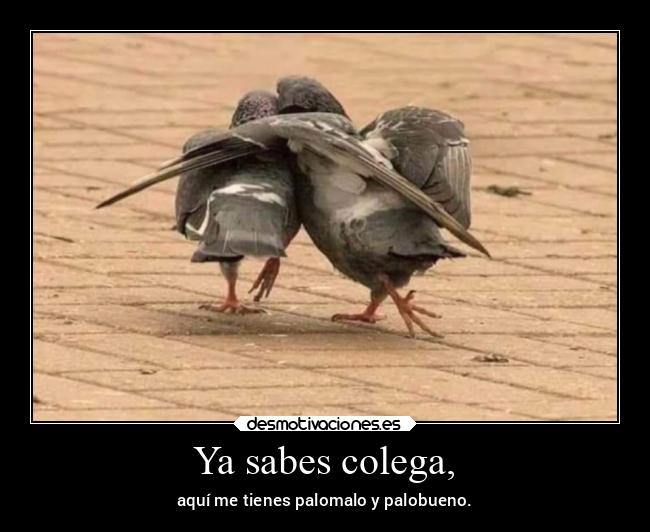 Ya sabes colega, - 