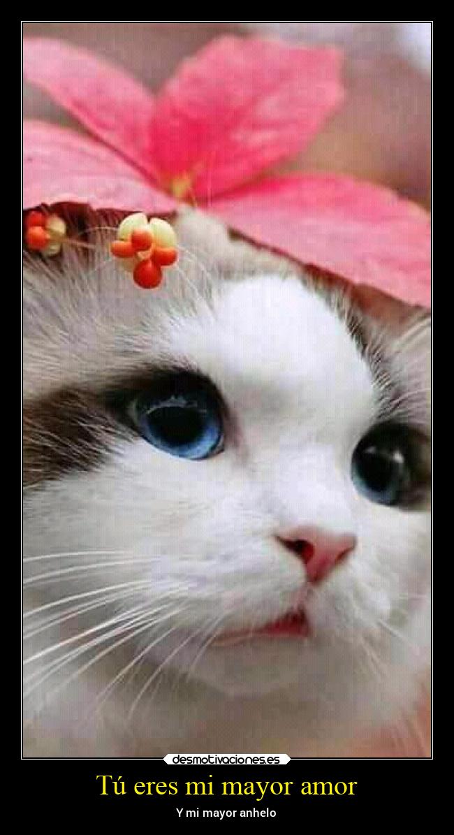 Tú eres mi mayor amor - Y mi mayor anhelo