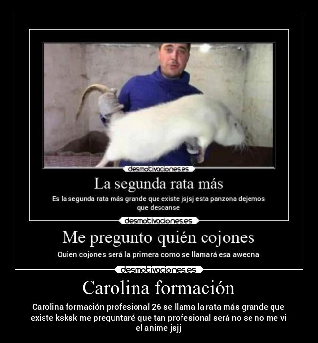 Carolina formación - Carolina formación profesional 26 se llama la rata más grande que
existe ksksk me preguntaré que tan profesional será no se no me vi
el anime jsjj