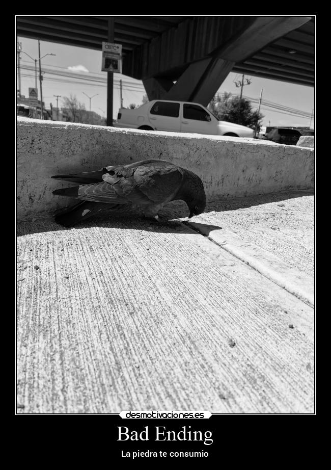 carteles animales anime desmotivaciones