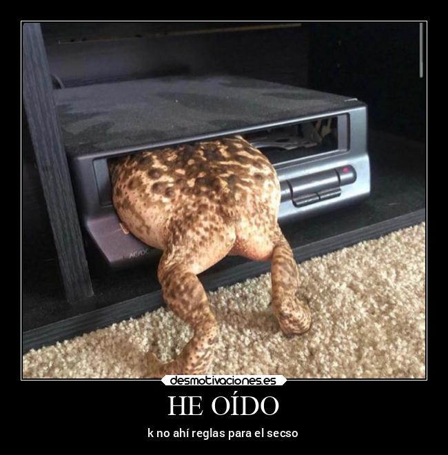 carteles anime cine sexo con cumos ranas sapos joder como calienta desmotivaciones