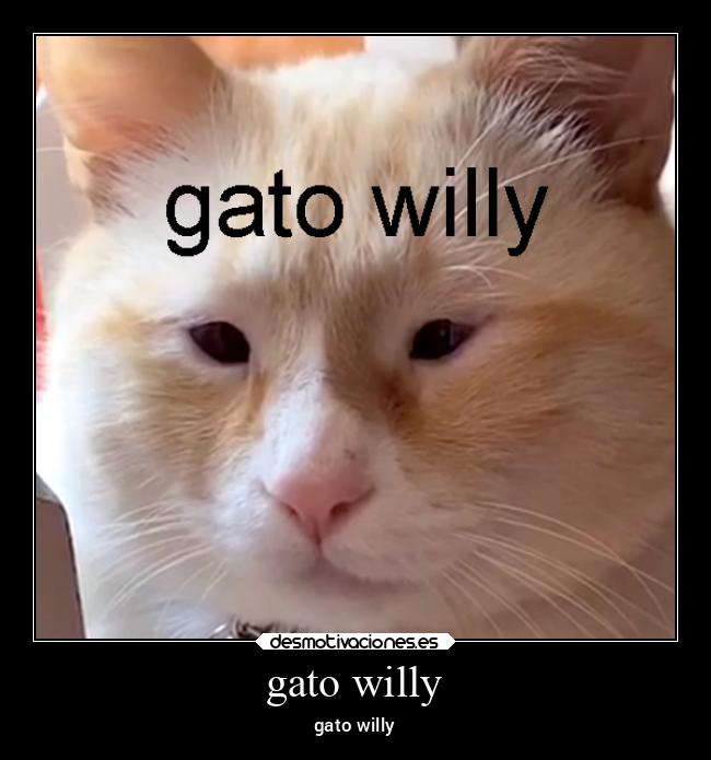 carteles anime willy desmotivaciones