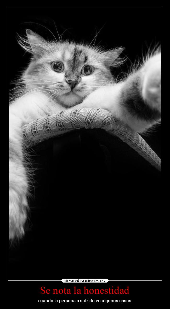 Se nota la honestidad - cuando la persona a sufrido en algunos casos