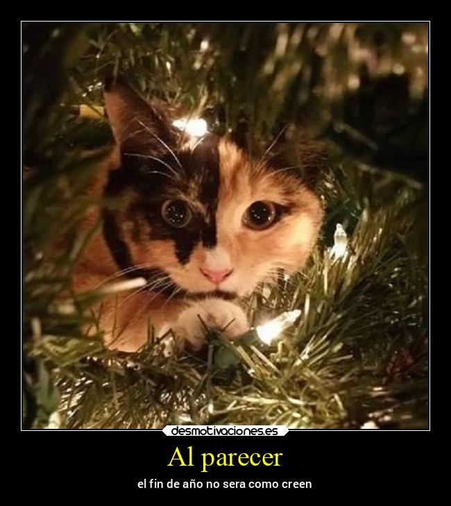 carteles ayuda ausencia besos familia examenes alicea desmotivaciones