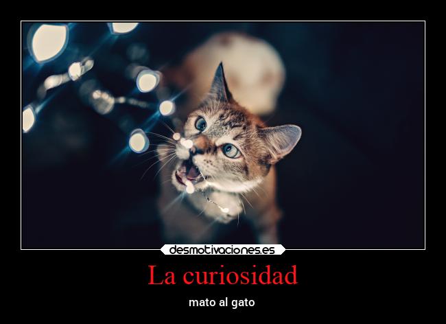 carteles ayuda ausencia besos familia examenes alicea desmotivaciones