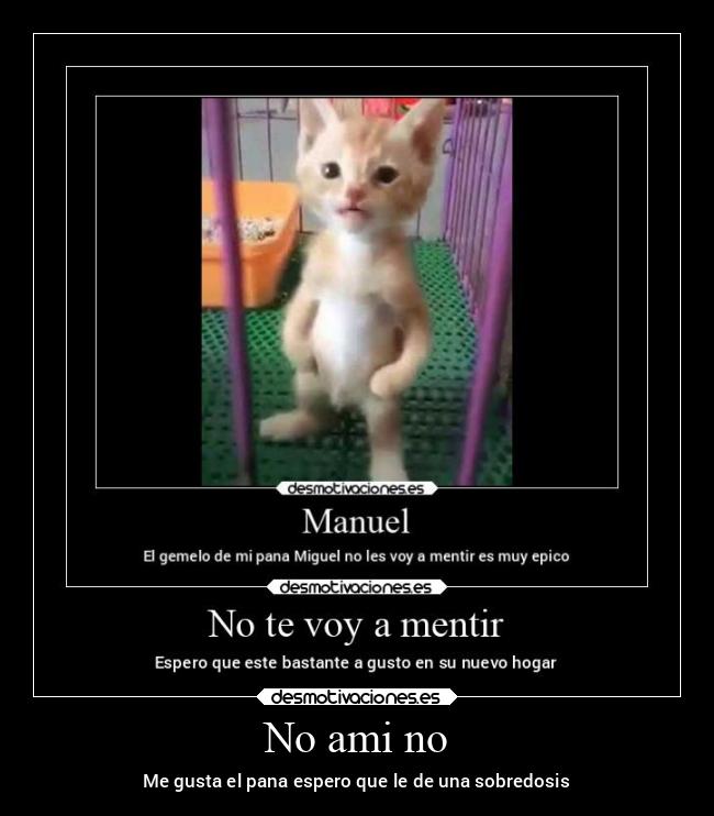 carteles besos desmotivaciones