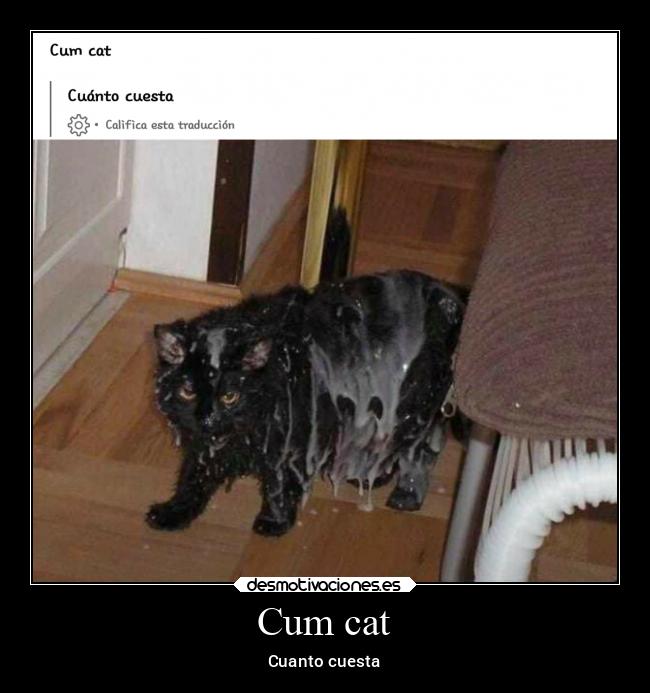 Cum cat - Cuanto cuesta