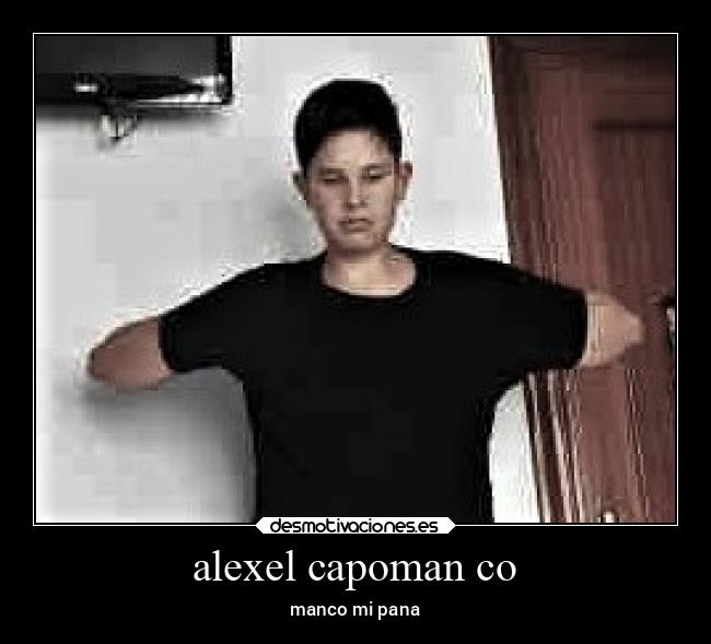alexel capoman co - 