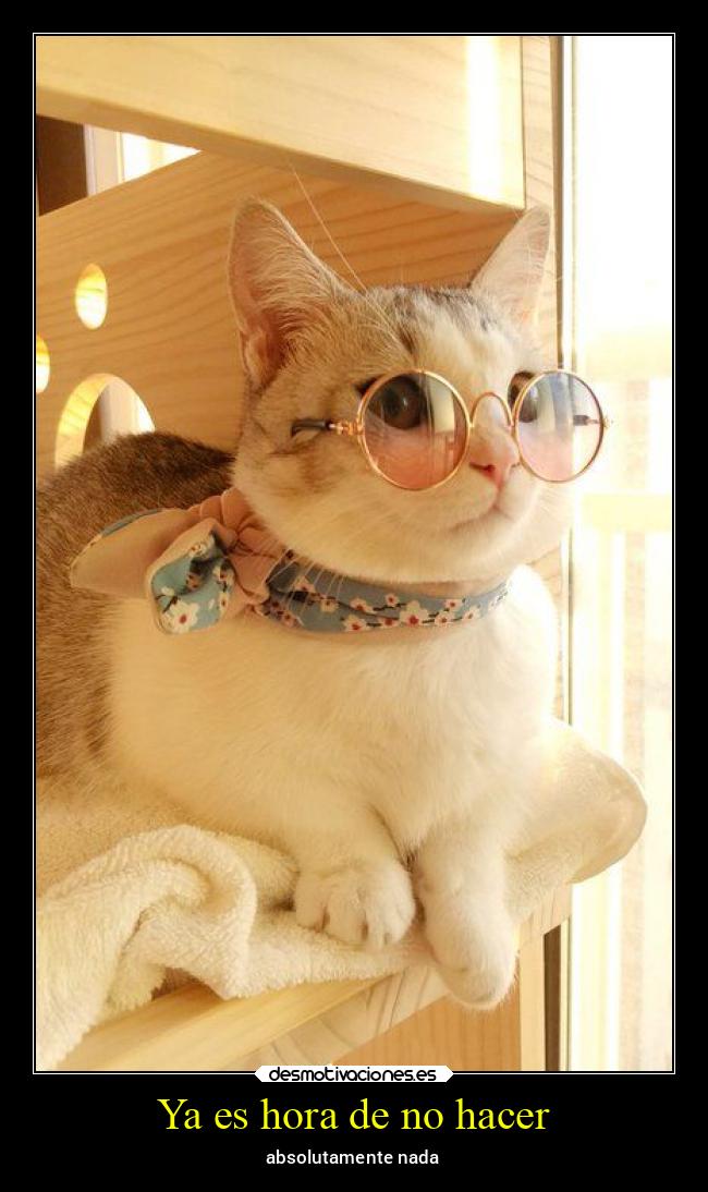 Ya es hora de no hacer - absolutamente nada