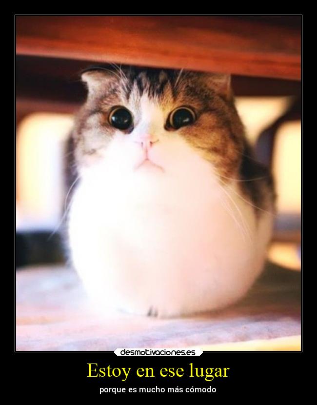Estoy en ese lugar - porque es mucho más cómodo