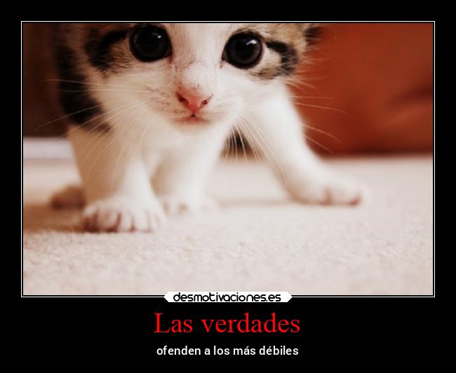 Las verdades - ofenden a los más débiles