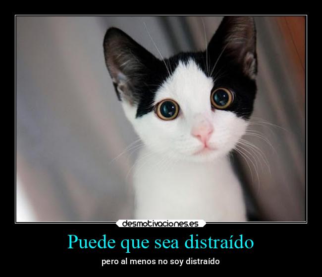 Puede que sea distraído - pero al menos no soy distraído