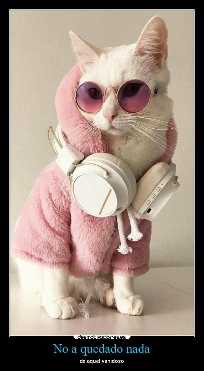 No a quedado nada - de aquel vanidoso