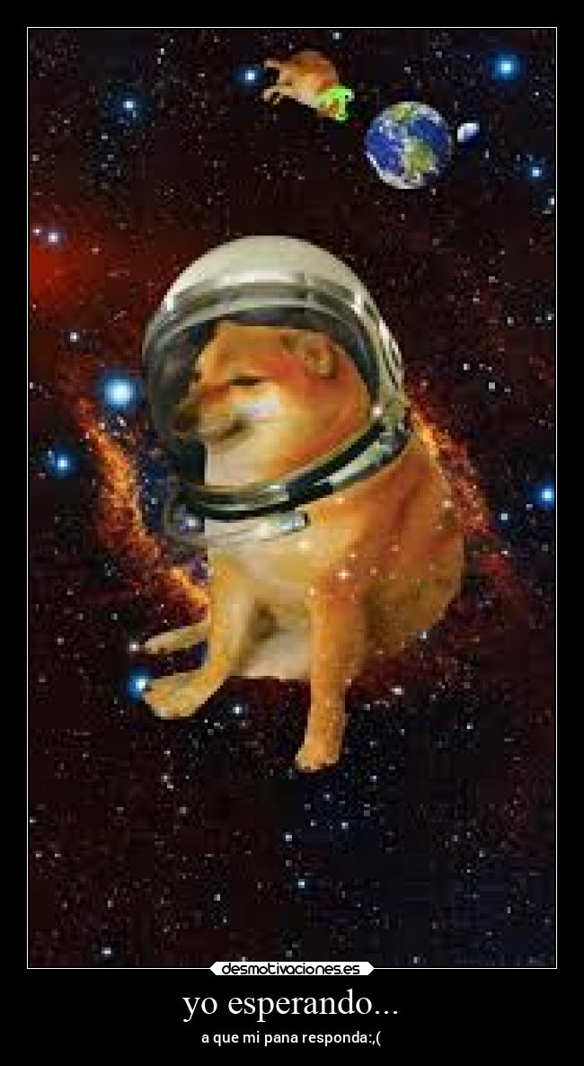 yo esperando... - 