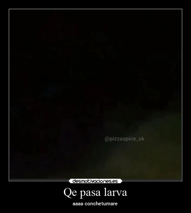 Qe pasa larva - aaaa conchetumare
