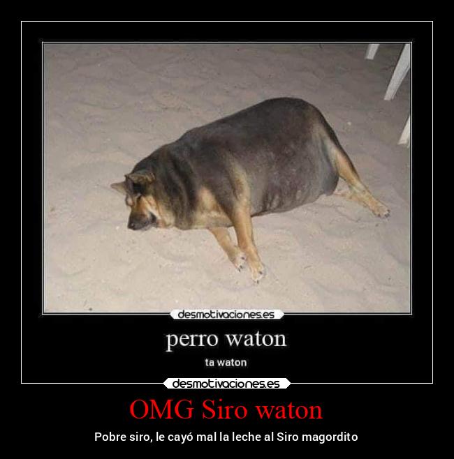 OMG Siro waton - 