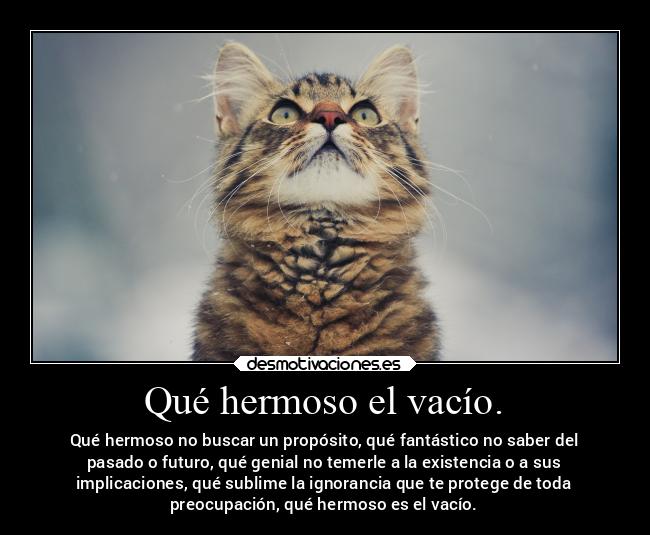 Qué hermoso el vacío. - Qué hermoso no buscar un propósito, qué fantástico no saber del
pasado o futuro, qué genial no temerle a la existencia o a sus
implicaciones, qué sublime la ignorancia que te protege de toda
preocupación, qué hermoso es el vacío.