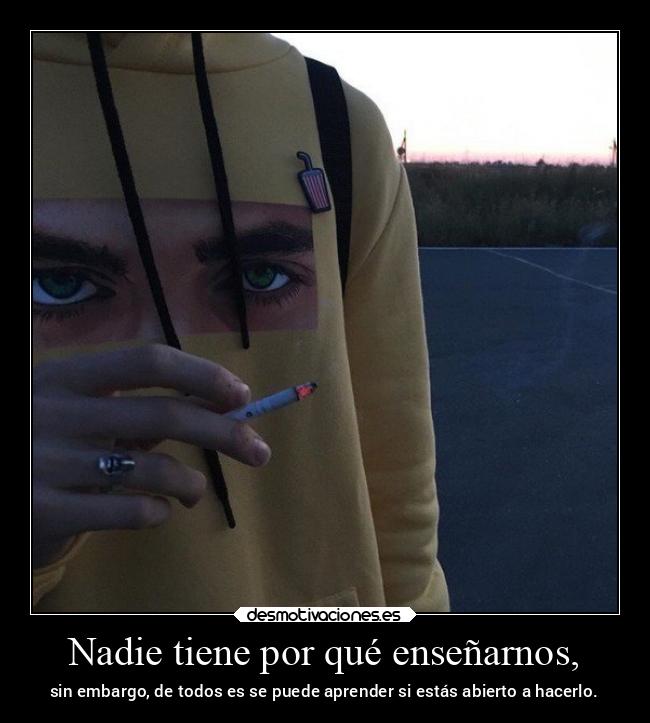 Nadie tiene por qué enseñarnos, - sin embargo, de todos es se puede aprender si estás abierto a hacerlo.