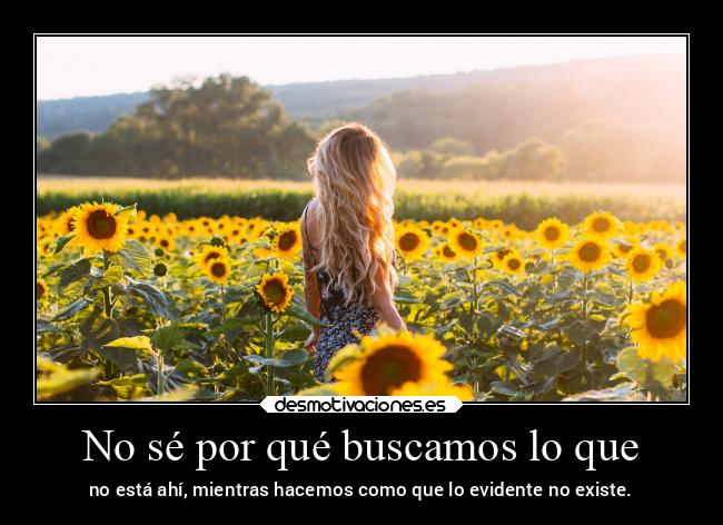 No sé por qué buscamos lo que - no está ahí, mientras hacemos como que lo evidente no existe.