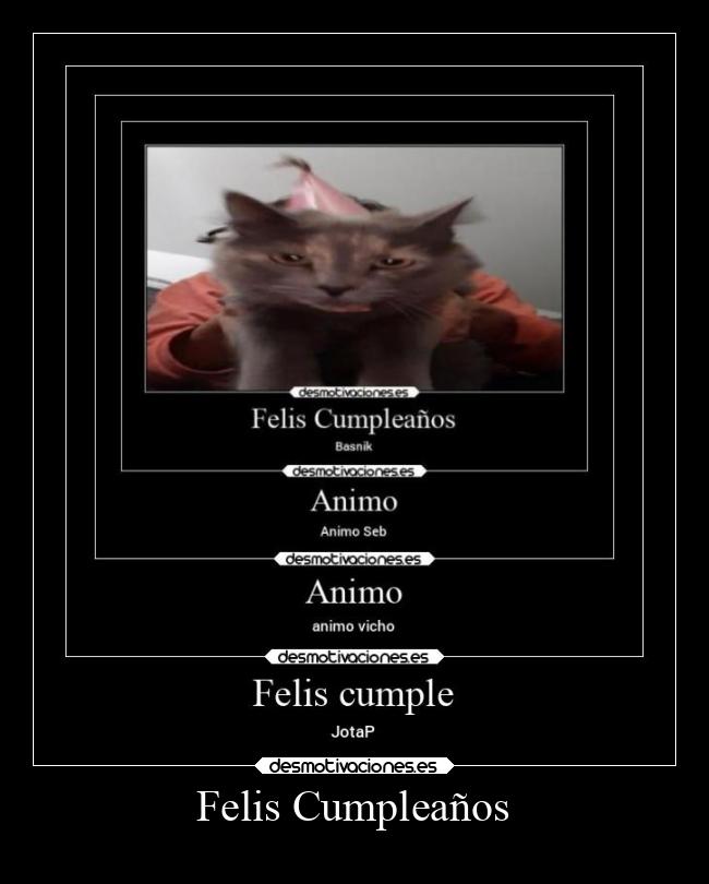 Felis Cumpleaños - 