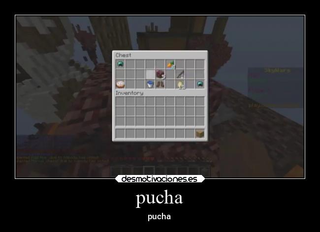 pucha - pucha