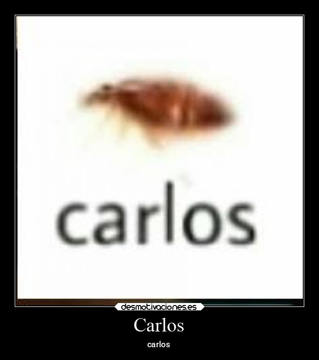 carteles memes desmotivaciones