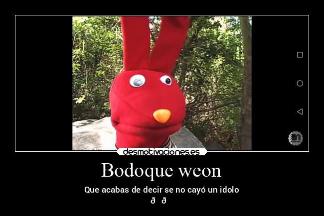 Bodoque weon -