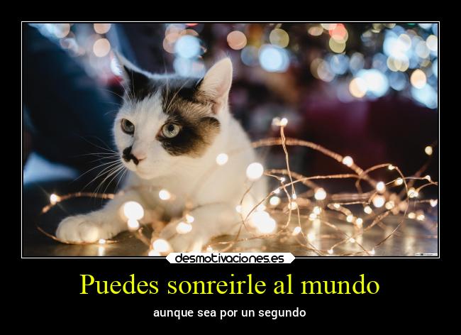 carteles mundo ayuda ausencia besos familia examenes alicea desmotivaciones