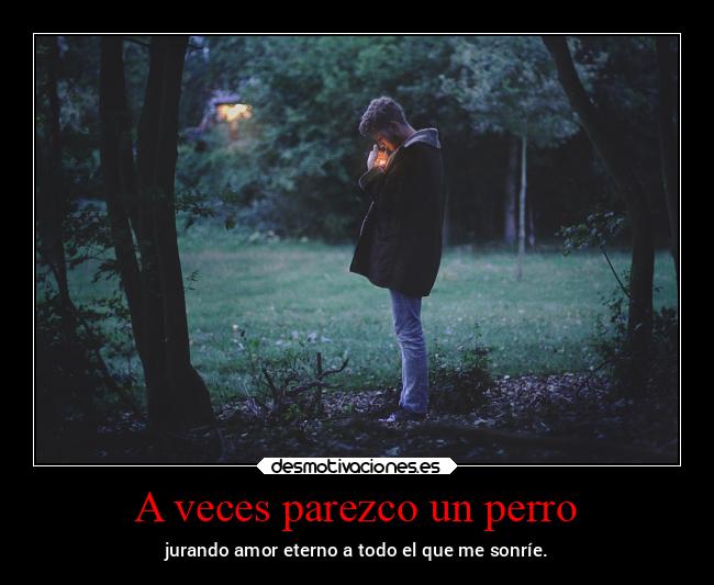 A veces parezco un perro - jurando amor eterno a todo el que me sonríe.