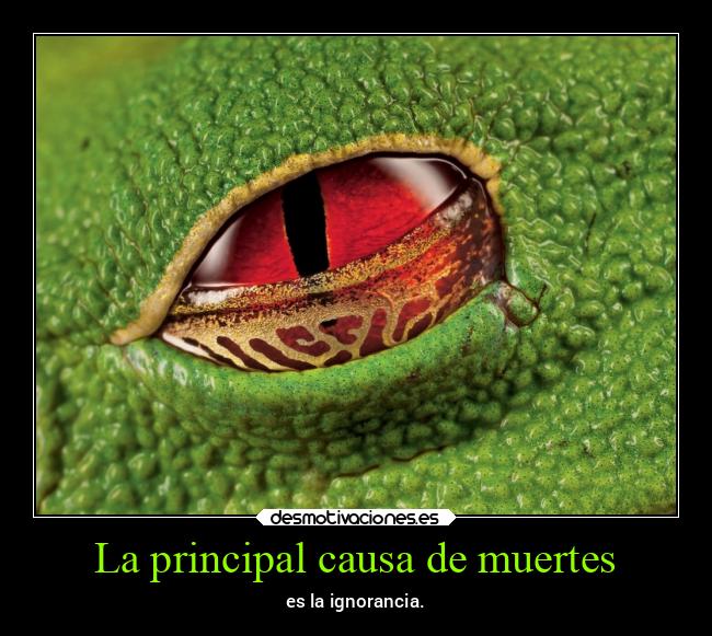 carteles pensamientos bbjdfs desmotivaciones